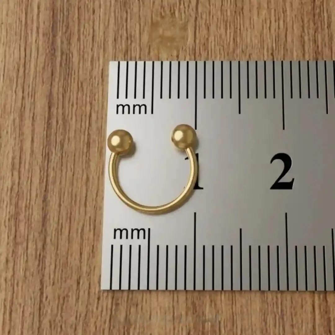 Horseshoe C Nose Ring & Bali